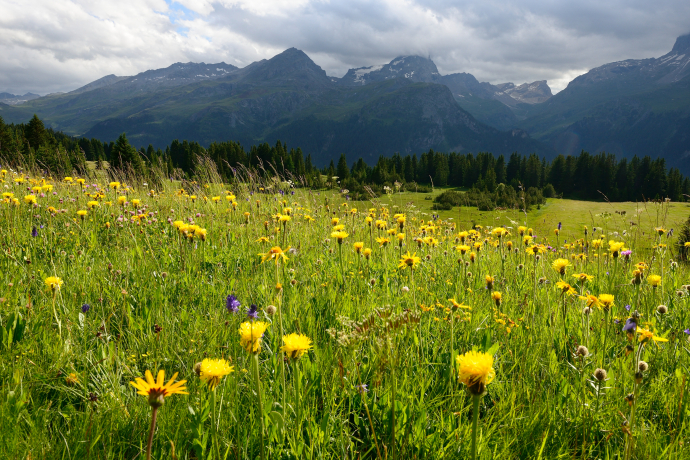 Alp Flix © lorenzfischer.photo Alp Flix © lorenzfischer.photo