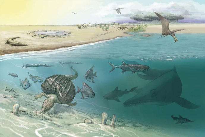 Ein riesiger Fischsaurier (rechts unten) sucht seine Beute im reich belebten Meer vor 205 Millionen Jahren © Jeannette Rüegg/Heinz Furrer