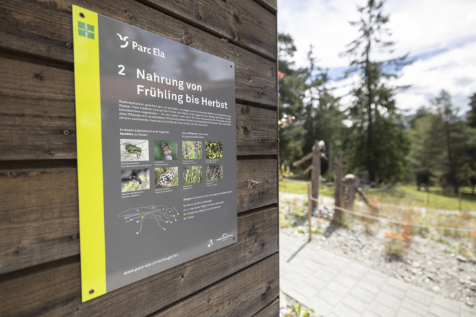 Insektenschaugarten Don Bosco © Sundroina Pictures