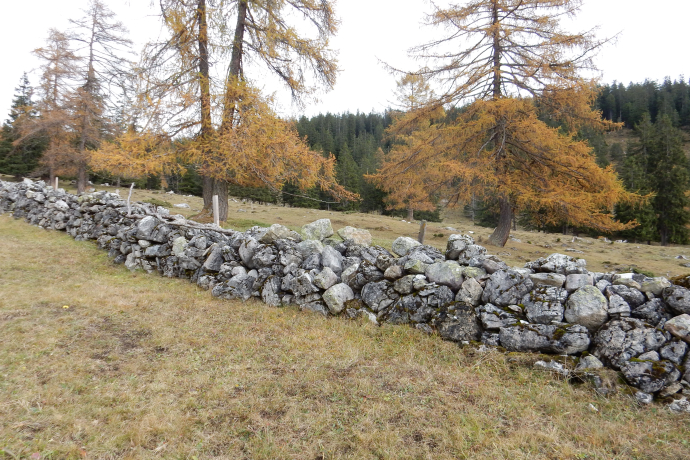 Trockenmauer Alvaneu Aclas Trockenmauer Alvaneu Aclas