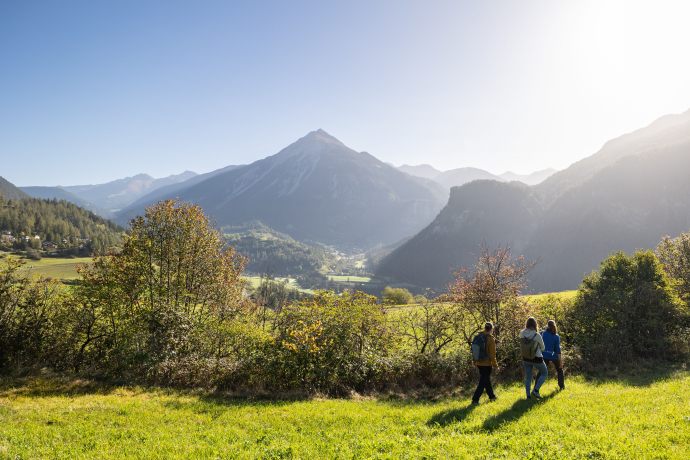 Heckenlandschaft Alvaneu © Sundroina Heckenlandschaft Alvaneu © Sundroina