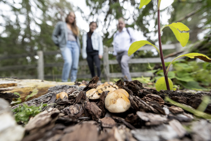 Führung im Insektenschaugarten Don Bosco © Sundroina Pictures Führung im Insektenschaugarten Don Bosco © Sundroina Pictures