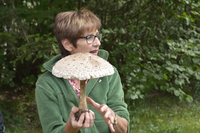 Pilzexkursion mit Rosemarie Kuhn