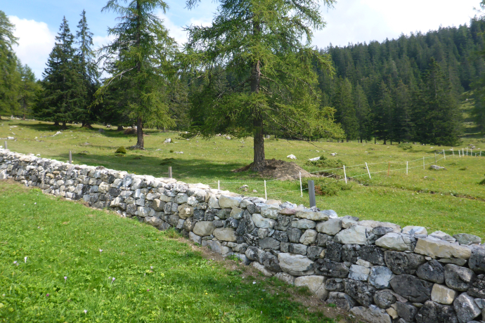Fertige Trockenmauer Alvaneu Aclas Fertige Trockenmauer Alvaneu Aclas