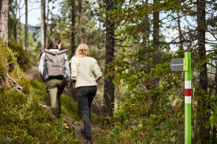 Auf dem Pfad der Pioniere bei Surava © Nino Bänninger