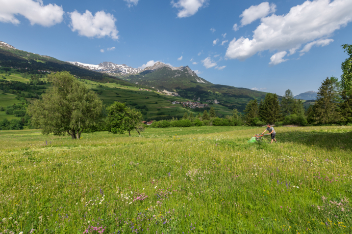 © lorenzfischer.photo