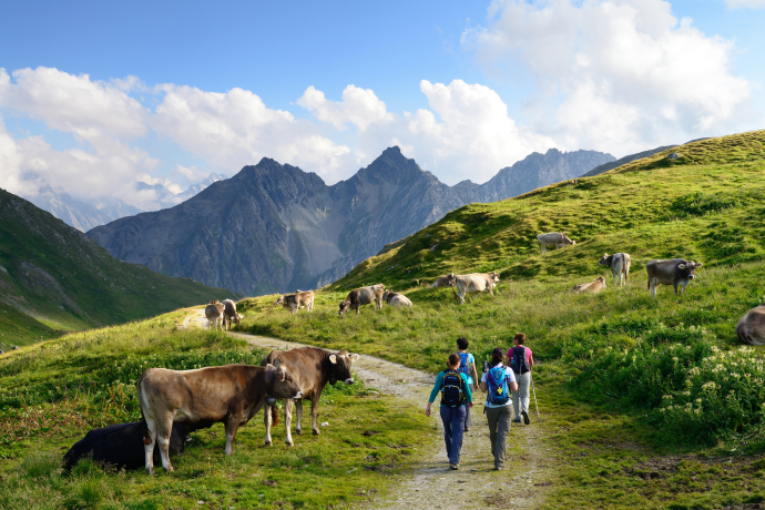 Septimerpass © lorenzfischer.photo