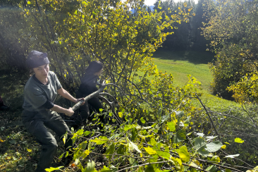 Heckentag in Lantsch/Lenz