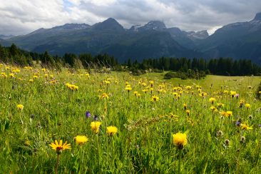 Alp Flix © lorenzfischer.photo