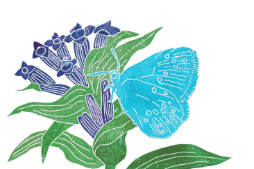 Kreuzenzian-Ameisenbläuling auf Kreuzenzian, Linolschnitt © Verein Parc Ela