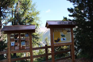 Tannenhäherweg Bergün